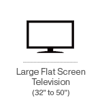 Large Flat Screen Television
